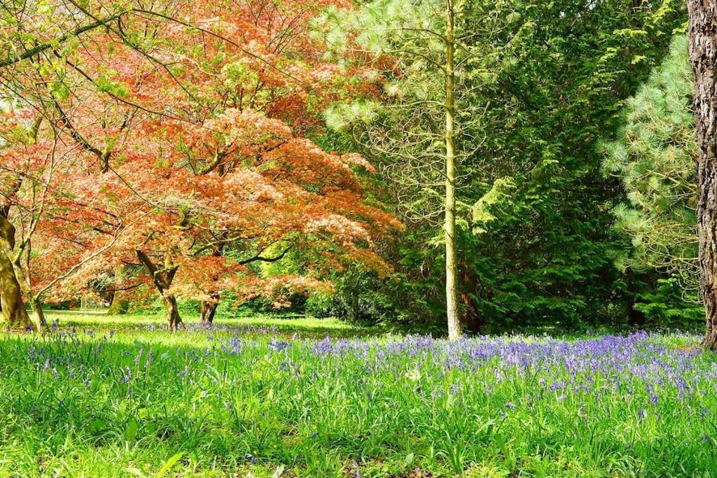Cotswold Manor House - Country House Retreat With Hot Tub, Ideal For Large Groups Petty France Kültér fotó